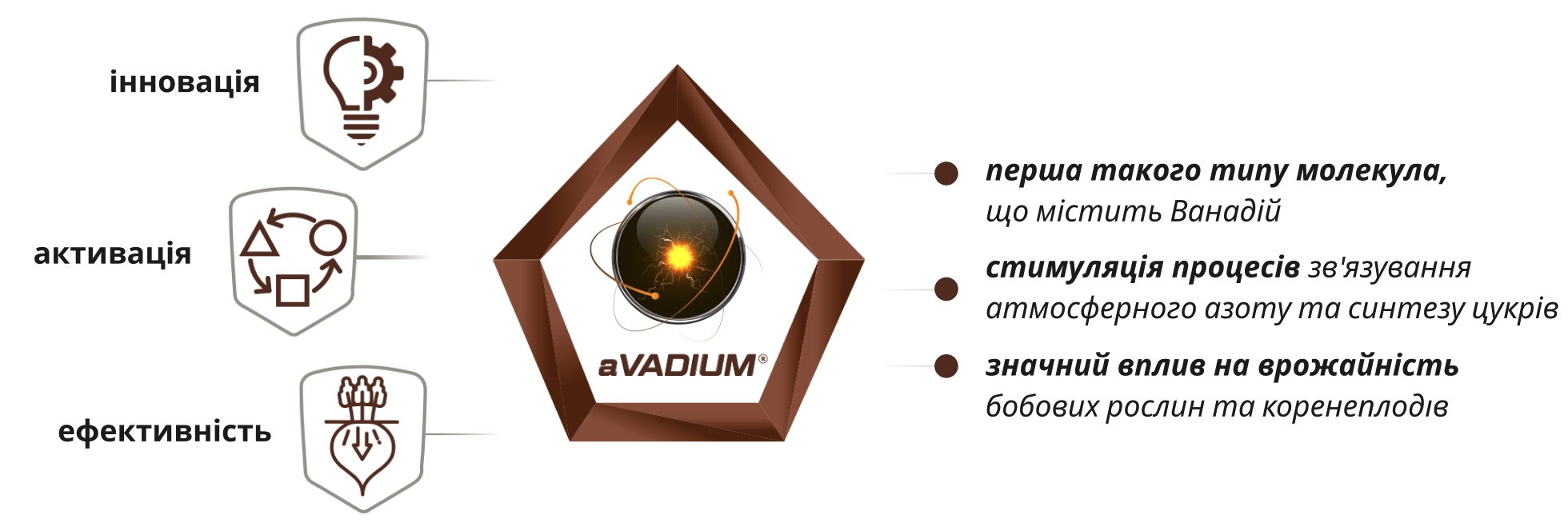 intermag avadium