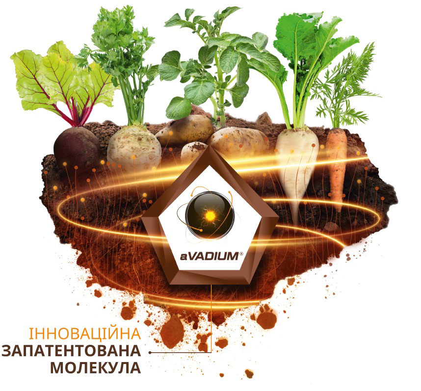 vanadoo intermag
