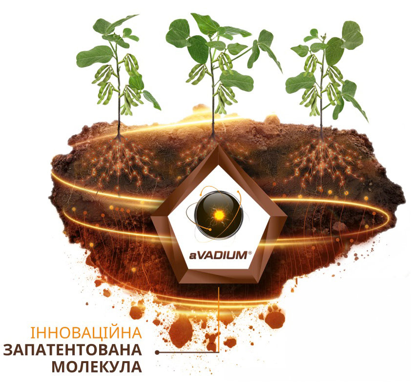 vanadoo intermag